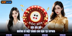 Xóc Đĩa Bịp - Những Bí Mật Dành Cho Bạn Tại VIPWIN